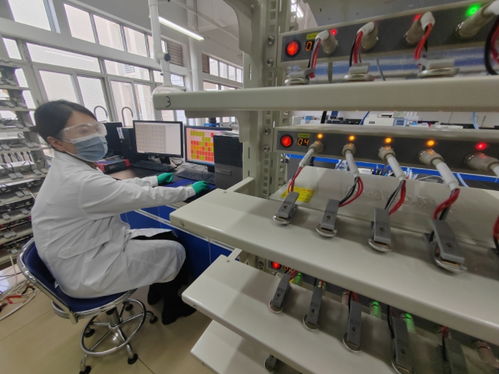 中國首創(chuàng)！洛陽牡丹殼變廢為寶，開啟鈉電池負(fù)極材料新紀(jì)元